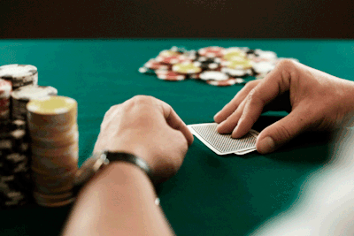 projekt360 roulette